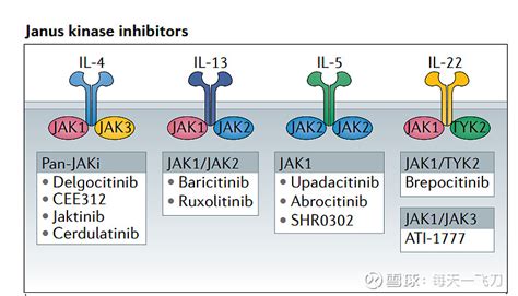 JAK是细胞质酪氨酸激酶家族的一员，共有JAK1、JAK2、JAK3、TYK2四种亚型。由JAK介导的信号通路如JAK-... - 雪球