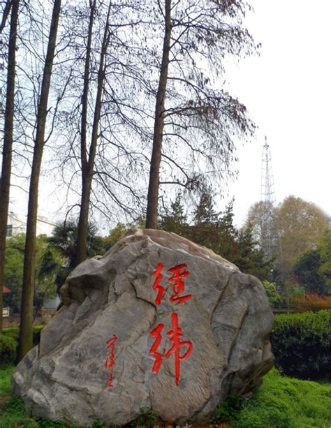 【测绘学科60年】陶本藻教育基金成立仪式举行-武汉大学测绘学院