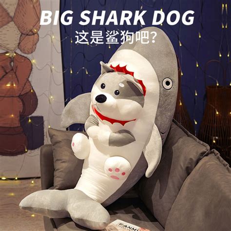 鲨狗图片