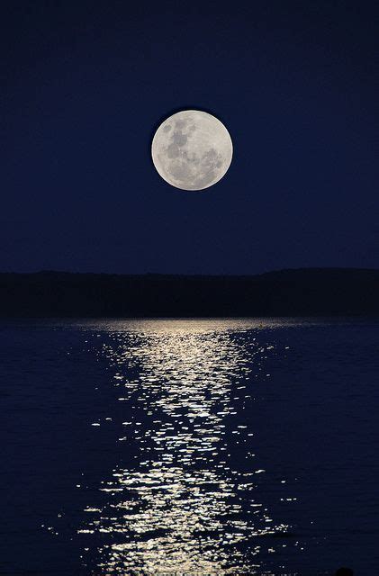 描写月光的优美句子赏析（月光如水，静静地洒在地上）-我爱育娃