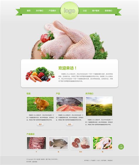 食品网站设计大集合_任星星全能大婶-站酷ZCOOL