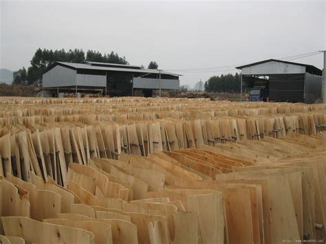 广西桂平木业产业园加快施工进度-中国木业网
