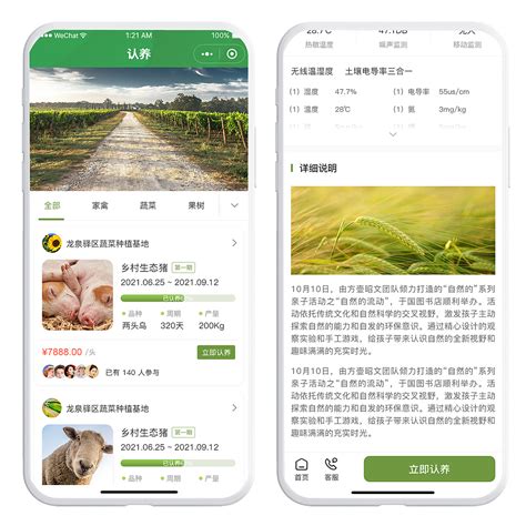 智慧农业物联网大数据平台_小鱼安歌-站酷ZCOOL