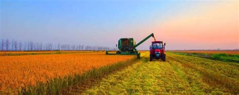 垂直农业，一个可持续的未来？ Plug and Play 中国
