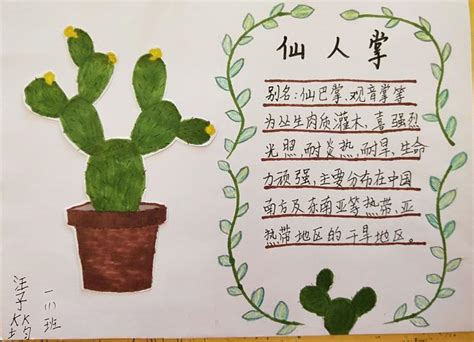 杭州萧山：学校动态︱你想认识我吗？靖江三小六年级“植物名片”设计-小学科学教学网