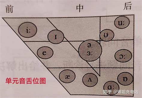 48个国际音标发音舌位图 - 知乎