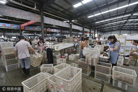 小龙虾 大产业 - 焦点图 - 湖南在线 - 华声在线