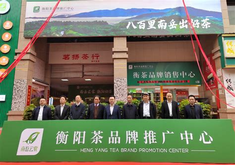 衡阳市打造“南岳云雾”公共品牌 推动茶产业高质量发展 - 湘茶热点 - 新湖南