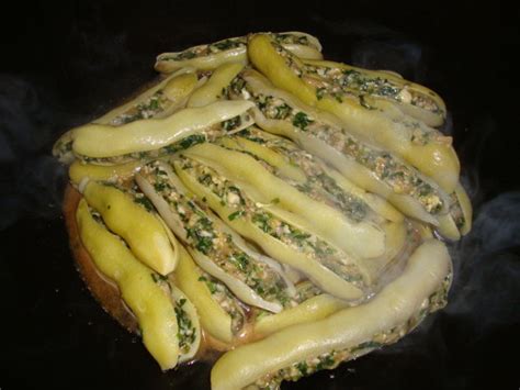 狗豆子图片
