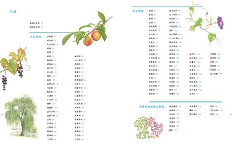 #科学实验探究#+绿豆种子生长观察记录-Makelog（造物记）