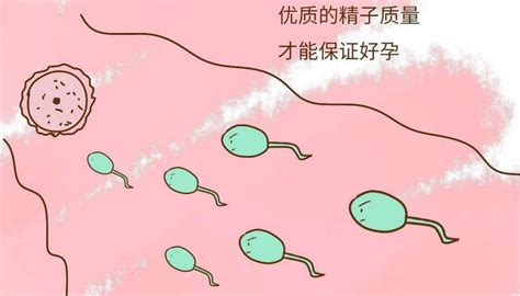 试管婴儿和人工受孕（人工授精和人工受精有何不同）-幼儿百科-魔术铺