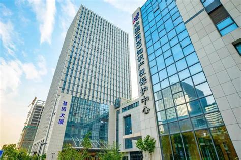 获批两年，自贸片区金融创新走出“南京模式”_南报网