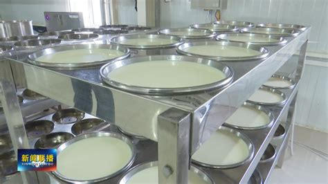 锡林郭勒盟召开地方特色乳制品产业高质量发展大会- 新华网内蒙古频道