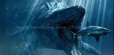 800万年前深海巨兽角逐，为什么顶级掠食者巨齿鲨输给了鲸鱼