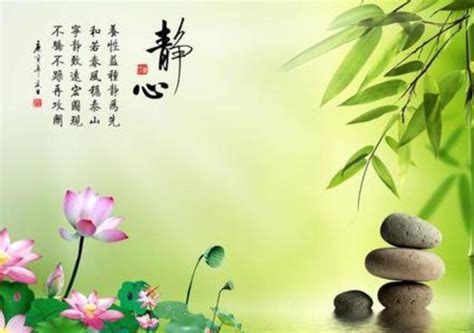 禅意&#183;静心&#183;渡图片