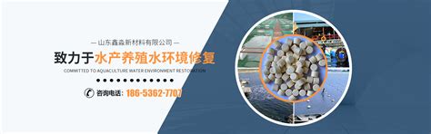 有机酸泡腾片特点及作用的解析-山东鑫淼新材料有限公司