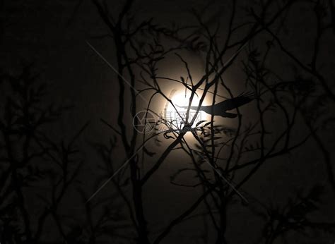 今晚，天门能看到月亮吗？_天气