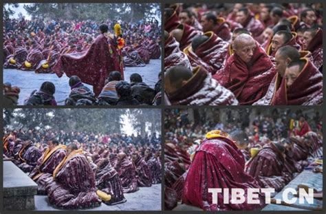 从这组数说宝“藏”海报，看西藏今日幸福生活_杭州网