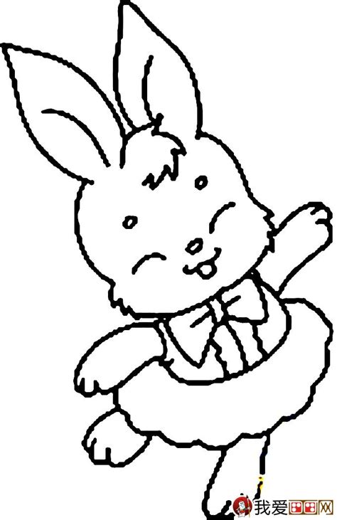 两只小兔子简笔画-露西学画画