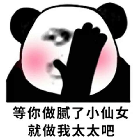 情侣表情 - 斗图大会 - 真正的斗图网站 - dou.yuanmazg.com
