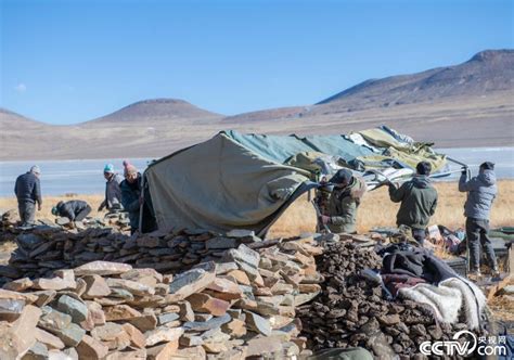西藏山南：牧民赶千余只羊转场湖心岛