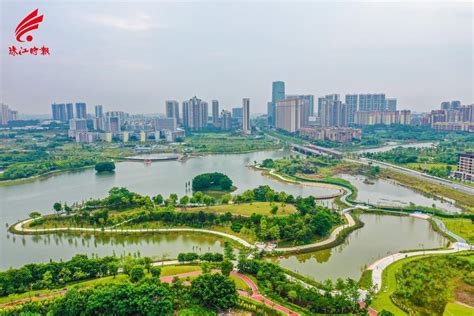 广东有一实力强镇，坐拥23家500强企业，被称“全国第二镇”|500强|狮山镇|佛山_新浪新闻