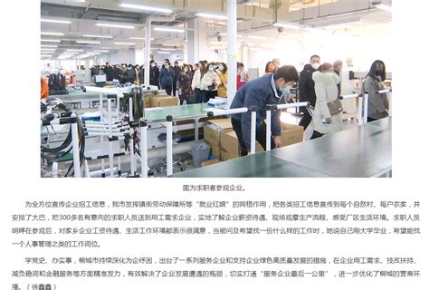 桐城战新企业名录－中国高质量发展品牌行动