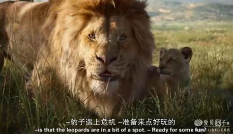 《狮子王》“真狮版”全解析，超萌还原动画版|迪士尼|狮子王|辛巴_新浪新闻