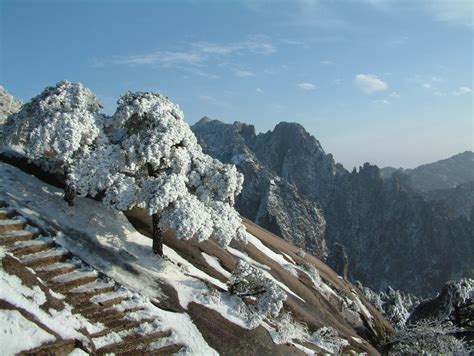 安徽黄山出现今年入冬首场雾凇云海景观