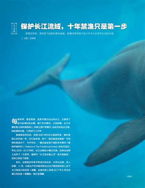 保护长江流域，十年禁渔只是第一步 - 电子报详情页