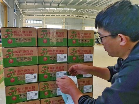 山东枣庄：水果早市旺 平均日交易量超过100万公斤-人民图片网