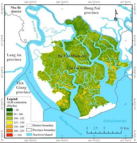 广东今年将营造红树林超过2000公顷