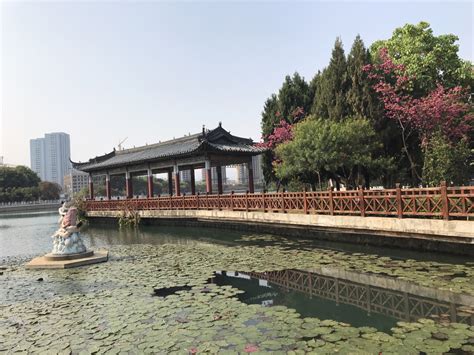 唐山南湖生态城中央公园规划设计_资源频道_中国城市规划网