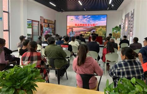 丰县举办紫山药高效栽培技术集成推广项目培训班 - 徐州市科学技术协会