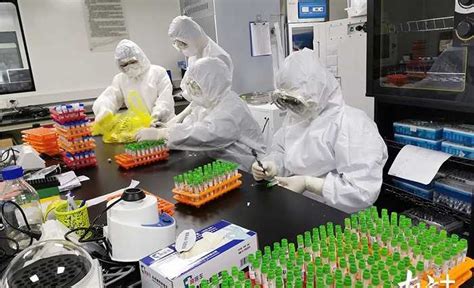 承接上海长宁90%核酸检测的检验所如何工作？|界面新闻