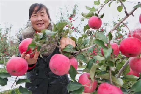 根力多携手农林卫视《中国农资秀》 重磅推出中国农资行业VR全景企业宣传片 - 知乎