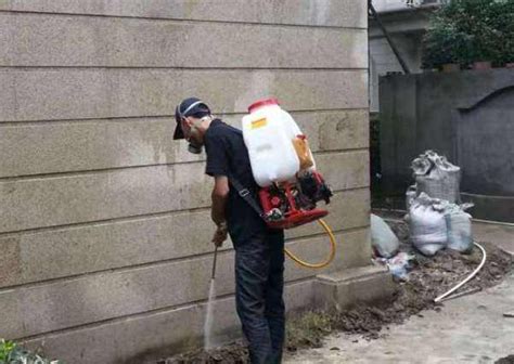 增城白蚁防治灭白蚁公司 - 家在深圳
