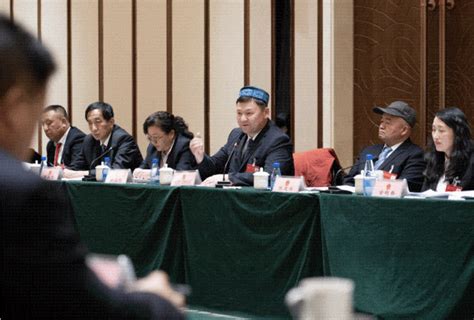 昌吉州人大代表和政协委员分组审议讨论政府工作报告