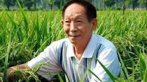 “杂交水稻之父”袁隆平去世，享年91岁_凤凰网视频_凤凰网