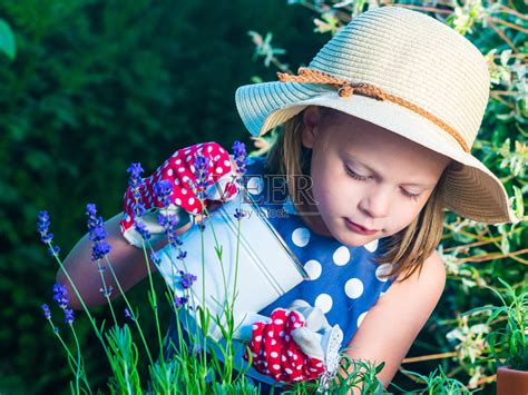 可爱的女孩在浇草药。孩子照料植物。小孩拿着水罐子。有薰衣草和迷迭香的小园丁。照片摄影图片_ID:160946443-Veer图库