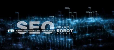 旺道SEO机器人-帮你百度搜索排第一页-360度智能AI网站优化系统 ...