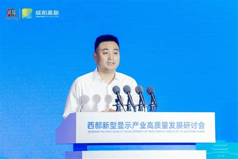 咸阳高新区成功举办西部新型显示产业高质量发展研讨会 - 西部网（陕西新闻网）