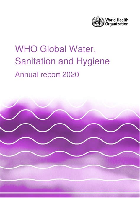 世卫组织 2020 年全球水、环境卫生和个人卫生年度报告
