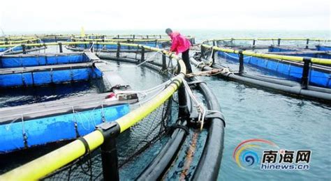 三沙市将促进海南渔业产业 每年可增产值41亿元_新浪新闻