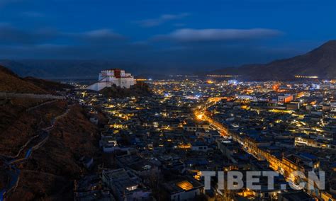 西藏日喀则“萝卜小镇”喜获丰收-精彩图片- 东南网