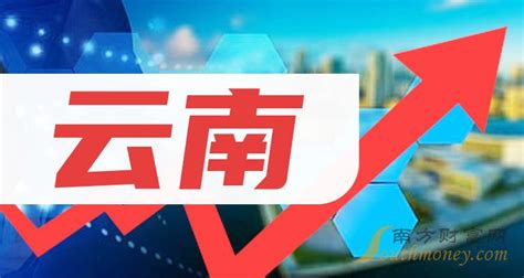 南阳市发布2022年南阳民营企业30强名单-大河网