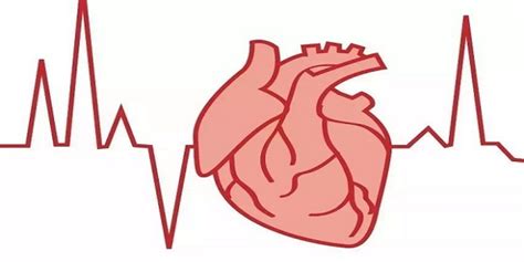 心率正常值范围是多少-心率正常范围值介绍-六六健康网