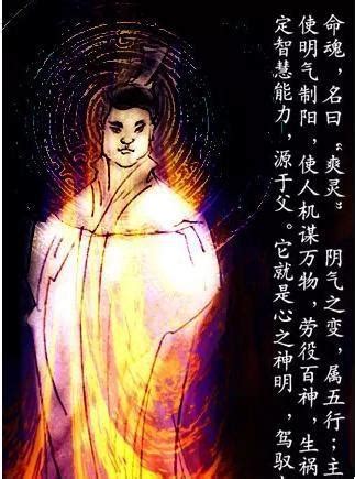 魂魄，三魂七魄，中华医典的记载与应用 - 知乎