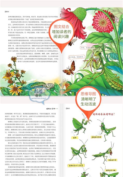 昆虫记语段,昆虫记图片大全,昆虫记读书报_大山谷图库