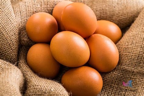 鸡蛋和鸭蛋哪个营养价值更高_营养知识_食品常识_食品科技网